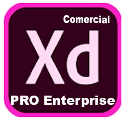 Adobe XD Pro for enterprise - Nuovo abbonamento (1 anno) - 1 utente - GOV - Adobe Value Incentive Plan (VIP) Marketplace - Livello 1 (1-9) - For existing XD customer add-ons only, No new customers - Win, Mac - Multi European Languages